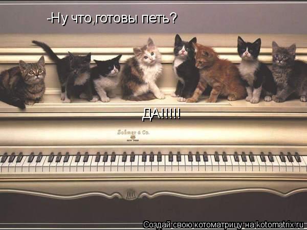 -Ну что,готовы петь? ДА!!!!!... Котоматрица: -Ну что,готовы петь? ДА!!!!!