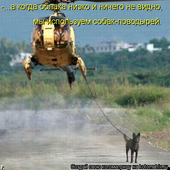 -...а когда облака низко и ничего не видно, мы используем собак-поводырей.... Котоматрица: -...а когда облака низко и ничего не видно, мы используем собак-поводырей.