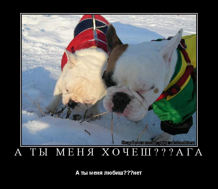 А ты меня хочеш???ага А ты меня любиш???нет... Котоматрица: А ты меня хочеш???ага А ты меня любиш???нет