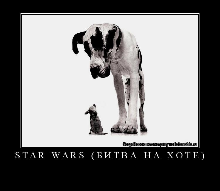 STAR WARS (битва на Хоте) ... Котоматрица: STAR WARS (битва на Хоте)