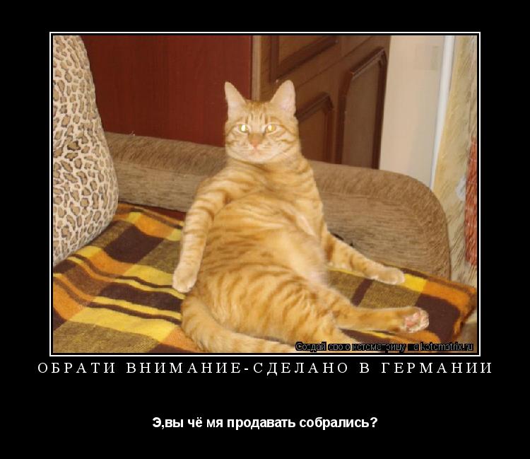 ОБРАТИ ВНИМАНИЕ-СДЕЛАНО В ГЕРМАНИИ Э,вы чё мя продавать собрались?... Котоматрица: ОБРАТИ ВНИМАНИЕ-СДЕЛАНО В ГЕРМАНИИ Э,вы чё мя продавать собрались?