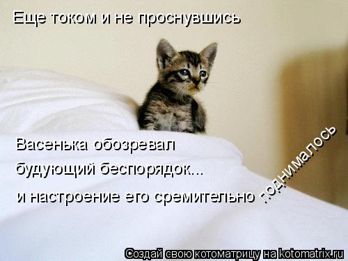 Еще током и не проснувшись Васенька обозревал будующий беспорядок... и настроение его сремительно ... Котоматрица: Еще током и не проснувшись Васенька обозревал будующий беспорядок... и настроение его сремительно поднималось