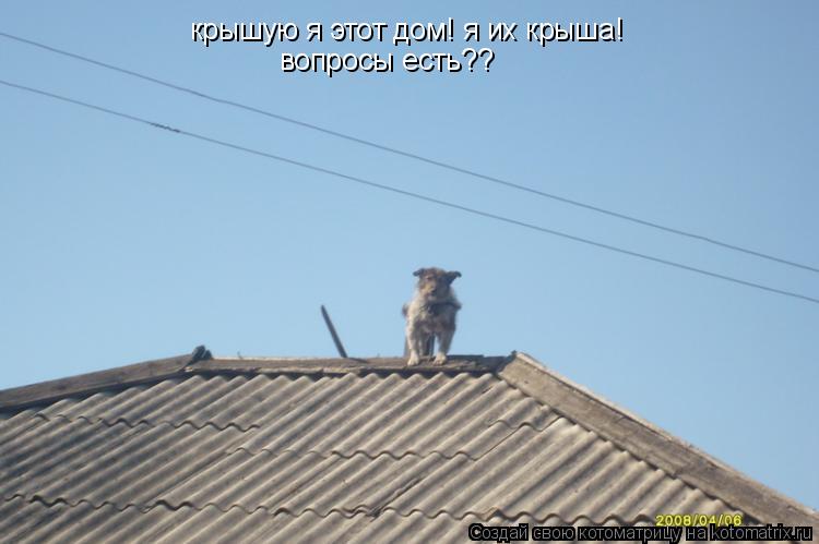 крышую я этот дом! я их крыша! вопросы есть??... Котоматрица: крышую я этот дом! я их крыша! вопросы есть??