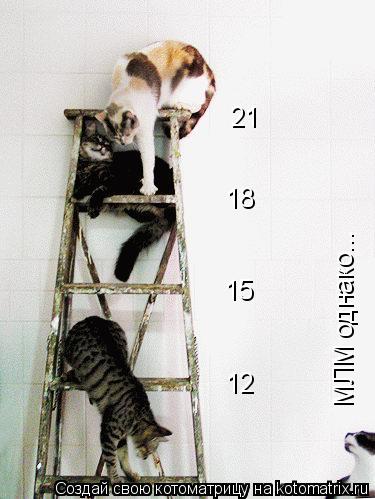 21 18 15 12 МЛМ однако...... Котоматрица: 21 18 15 12 МЛМ однако...