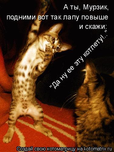 А ты, Мурзик, подними вот так лапу повыше и скажи: "Да ну ее эту котлету!.."... Котоматрица: А ты, Мурзик, подними вот так лапу повыше и скажи: "Да ну ее эту котлету!.."