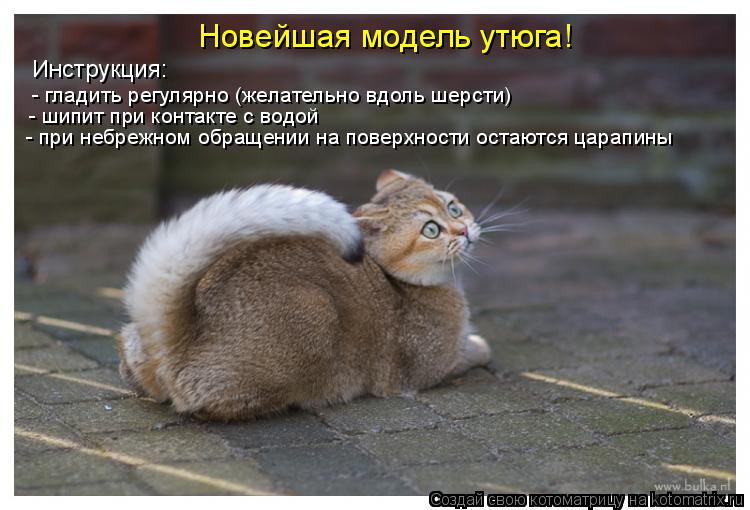 Новейшая модель утюга! Инструкция: - гладить регулярно (желательно вдоль шерсти) - шипит при контакт... Котоматрица: Новейшая модель утюга! Инструкция: - гладить регулярно (желательно вдоль шерсти) - шипит при контакте с водой - при небрежном обращении на по