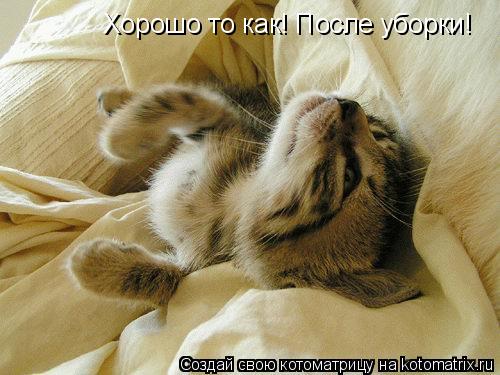 Хорошо то как! После уборки!... Котоматрица: Хорошо то как! После уборки!