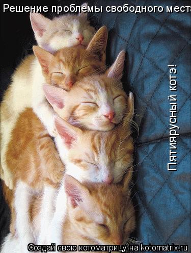 Пятиярусный котэ! Решение проблемы свободного места... Котоматрица: Пятиярусный котэ! Решение проблемы свободного места