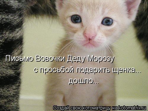 Письмо Вовочки Деду Морозу с просьбой подарить щенка... дошло...... Котоматрица: Письмо Вовочки Деду Морозу с просьбой подарить щенка... дошло...
