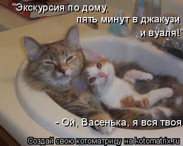 "Экскурсия по дому, пять минут в джакузи и вуаля!" - Ой, Васенька, я вся твоя!... Котоматрица: "Экскурсия по дому, пять минут в джакузи и вуаля!" - Ой, Васенька, я вся твоя!