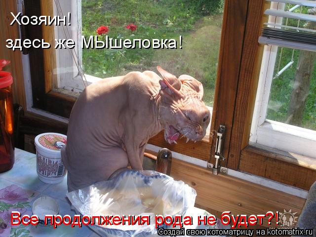 Котоматрица: Хозяин! здесь же МЫшеловка! Все продолжения рода не будет?! Все продолжения рода не будет?!