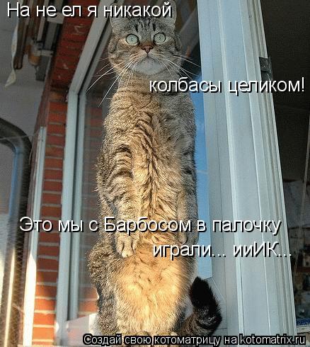 На не ел я никакой колбасы целиком! Это мы с Барбосом в палочку играли... ииИК...... Котоматрица: На не ел я никакой колбасы целиком! Это мы с Барбосом в палочку играли... ииИК...