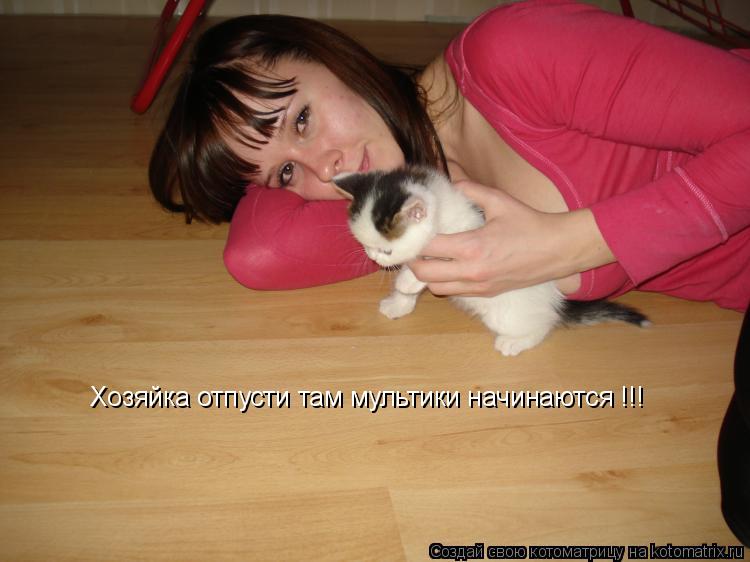 Хозяйка отпусти там мультики начинаются !!!... Котоматрица: Хозяйка отпусти там мультики начинаются !!!