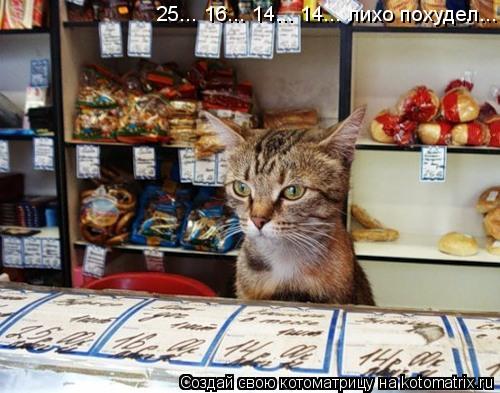 25... 16... 14... 14... лихо похудел...... Котоматрица: 25... 16... 14... 14... лихо похудел...