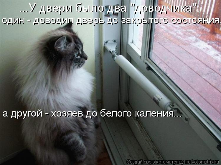 ...У двери было два "доводчика": один - доводил дверь до закрытого состояния, а другой - хозяев до бе... Котоматрица: ...У двери было два "доводчика": один - доводил дверь до закрытого состояния, а другой - хозяев до белого каления...