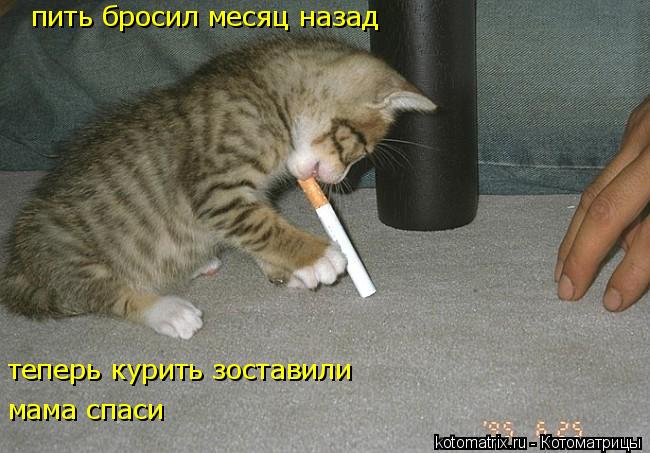 пить бросил месяц назад теперь курить зоставили мама спаси... Котоматрица: пить бросил месяц назад теперь курить зоставили мама спаси