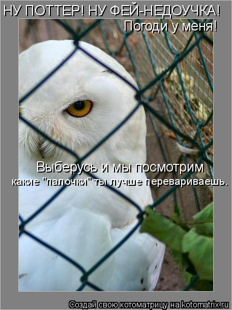 НУ ПОТТЕР! НУ ФЕЙ-НЕДОУЧКА! Погоди у меня! Выберусь и мы посмотрим какие "палочки" ты лучше переварив... Котоматрица: НУ ПОТТЕР! НУ ФЕЙ-НЕДОУЧКА! Погоди у меня! Выберусь и мы посмотрим какие "палочки" ты лучше перевариваешь.