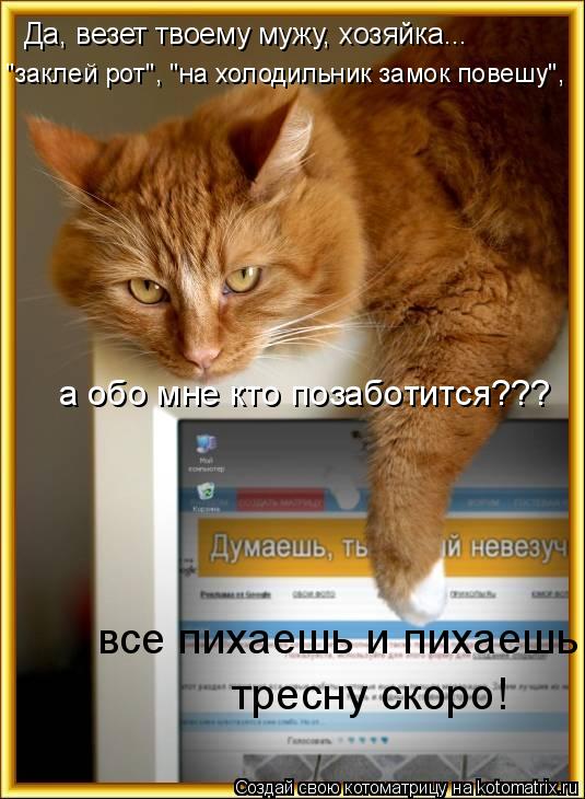 Котоматрица: Да, везет твоему мужу, хозяйка... "заклей рот", "на холодильник замок повешу",  а обо мне кто позаботится??? все пихаешь и пихаешь,  тресну скоро!