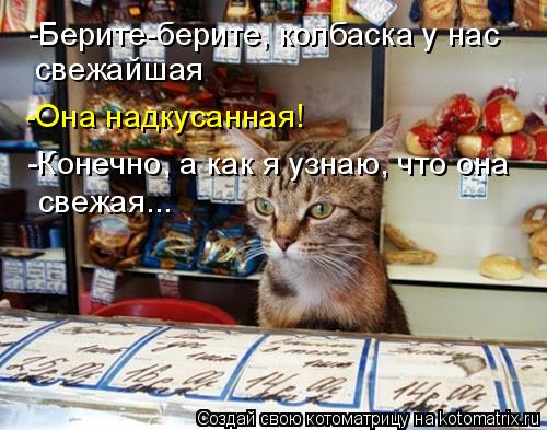 Котоматрица: -Берите-берите, колбаска у нас свежайшая -Она надкусанная! -Конечно, а как я узнаю, что она свежая...