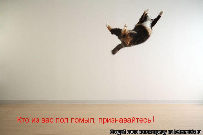 Кто из вас пол помыл, признавайтесь !... Котоматрица: Кто из вас пол помыл, признавайтесь !