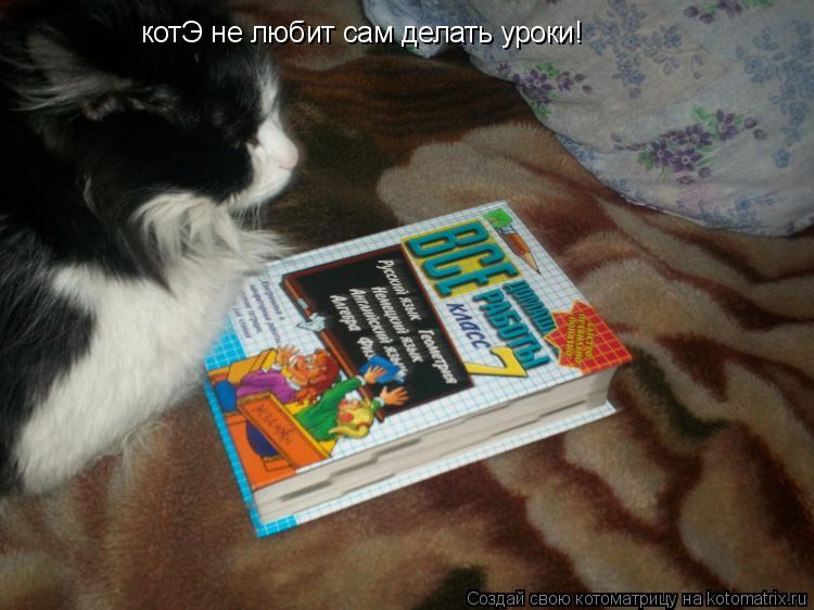 котЭ не любит сам делать уроки!... Котоматрица: котЭ не любит сам делать уроки!