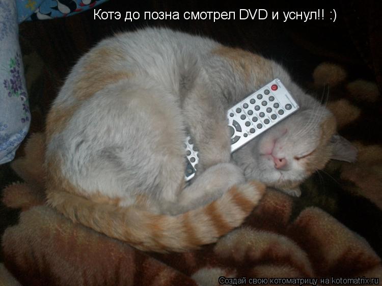 Котэ до позна смотрел DVD и уснул!! :)... Котоматрица: Котэ до позна смотрел DVD и уснул!! :)