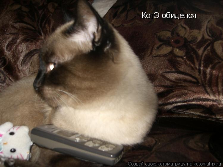 КотЭ обиделся... Котоматрица: КотЭ обиделся