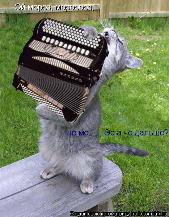 Ой мороз, морооооз, не мо.... Ээ а чё дальше?... Котоматрица: Ой мороз, морооооз, не мо.... Ээ а чё дальше?