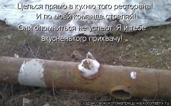 Целься прямо в кухню того ресторана! И по моей команде стреляй! Они опомниться не успеют. Я и тебе вк... Котоматрица: Целься прямо в кухню того ресторана! И по моей команде стреляй! Они опомниться не успеют. Я и тебе вкусненького прихвачу!