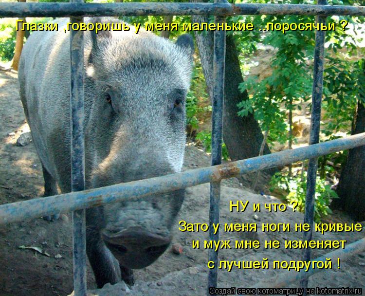 Глазки ,говоришь у меня маленькие ..поросячьи ? Зато у меня ноги не кривые и муж мне не изменяет с лу... Котоматрица: Глазки ,говоришь у меня маленькие ..поросячьи ? Зато у меня ноги не кривые и муж мне не изменяет с лучшей подругой ! НУ и что ?