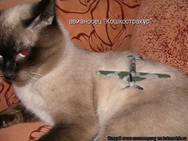 авианосец "Кошкострахус"... Котоматрица: авианосец "Кошкострахус"