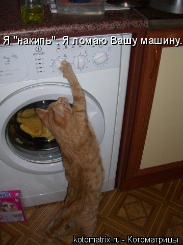 Я "накипь". Я ломаю Вашу машину.... Котоматрица: Я "накипь". Я ломаю Вашу машину.