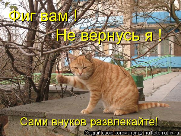 Фиг вам ! Не вернусь я ! Сами внуков развлекайте!... Котоматрица: Фиг вам ! Не вернусь я ! Сами внуков развлекайте!