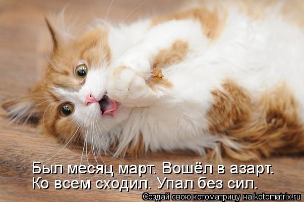 Был месяц март. Вошёл в азарт. Ко всем сходил. Упал без сил.... Котоматрица: Был месяц март. Вошёл в азарт. Ко всем сходил. Упал без сил.