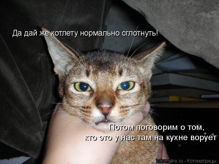 Да дай же котлету нормально сглотнуть! Потом поговорим о том, кто это у нас там на кухне ворует... Котоматрица: Да дай же котлету нормально сглотнуть! Потом поговорим о том, кто это у нас там на кухне ворует