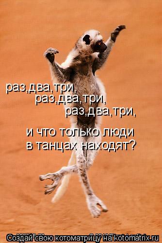 раз,два,три, раз,два,три, раз,два,три, и что только люди в танцах находят?... Котоматрица: раз,два,три, раз,два,три, раз,два,три, и что только люди в танцах находят?