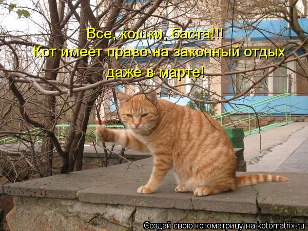 Все, кошки, баста!!! Кот имеет право на законный отдых даже в марте!... Котоматрица: Все, кошки, баста!!! Кот имеет право на законный отдых даже в марте!