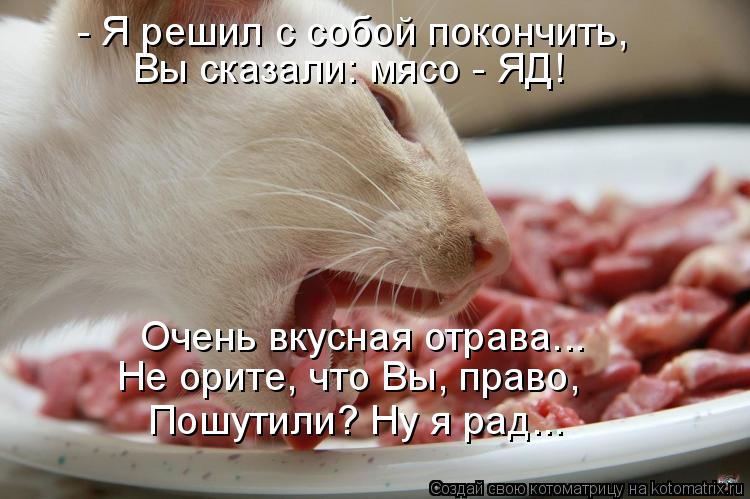 - Я решил с собой покончить, Вы сказали: мясо - ЯД! Очень вкусная отрава... Не орите, что Вы, право, ... Котоматрица: - Я решил с собой покончить, Вы сказали: мясо - ЯД! Очень вкусная отрава... Не орите, что Вы, право, Пошутили? Ну я рад...