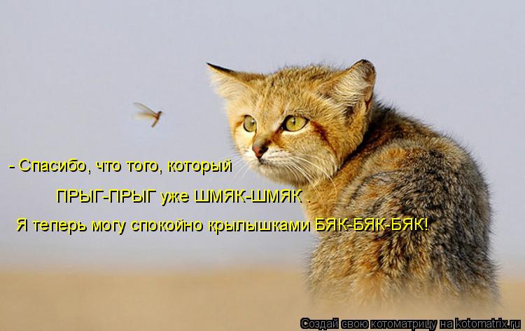 - Спасибо, что того, который ПРЫГ-ПРЫГ уже ШМЯК-ШМЯК . Я теперь могу спокойно крылышками БЯК-БЯК-БЯК... Котоматрица: - Спасибо, что того, который ПРЫГ-ПРЫГ уже ШМЯК-ШМЯК . Я теперь могу спокойно крылышками БЯК-БЯК-БЯК!