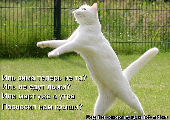 Иль не едут лыжи? Иль зима теперь не та? Или март уже с утра Посносил нам крыши?... Котоматрица: Иль не едут лыжи? Иль зима теперь не та? Или март уже с утра Посносил нам крыши?