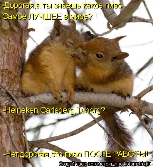 Самое ЛУЧШЕЕ в мире? -Heineken,Carlsderg,Tuborg? -Нет,дорогая,это пиво ПОСЛЕ РАБОТЫ! -Дорогая,а ты зн... Котоматрица: Самое ЛУЧШЕЕ в мире? -Heineken,Carlsderg,Tuborg? -Нет,дорогая,это пиво ПОСЛЕ РАБОТЫ! -Дорогая,а ты знаешь какое пиво