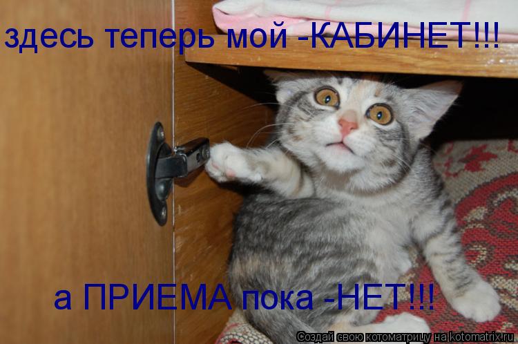 здесь теперь мой -КАБИНЕТ!!! а ПРИЕМА пока -НЕТ!!!... Котоматрица: здесь теперь мой -КАБИНЕТ!!! а ПРИЕМА пока -НЕТ!!!