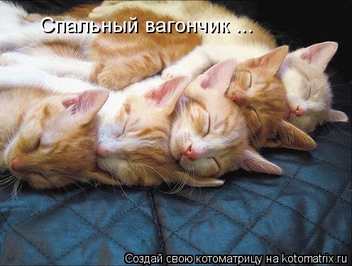 Спальный вагончик ...... Котоматрица: Спальный вагончик ...