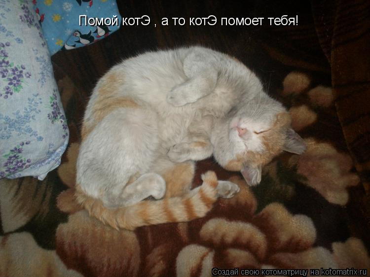 Помой котЭ , а то котЭ помоет тебя!... Котоматрица: Помой котЭ , а то котЭ помоет тебя!