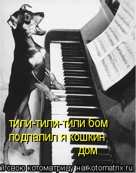 тили-тили-тили бом подпалил я кошкин дом... Котоматрица: тили-тили-тили бом подпалил я кошкин дом