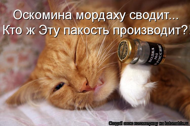 Оскомина мордаху сводит... Кто ж Эту пакость производит?!... Котоматрица: Оскомина мордаху сводит... Кто ж Эту пакость производит?!