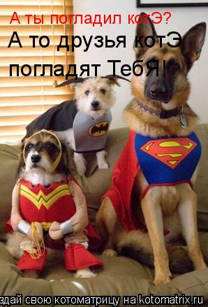 А ты погладил котЭ? А то друзья котЭ погладят ТебЯ!... Котоматрица: А ты погладил котЭ? А то друзья котЭ погладят ТебЯ!