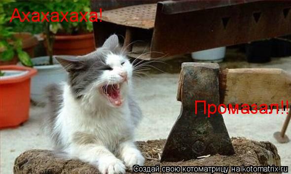 Ахахахаха! Промазал!!... Котоматрица: Ахахахаха! Промазал!!