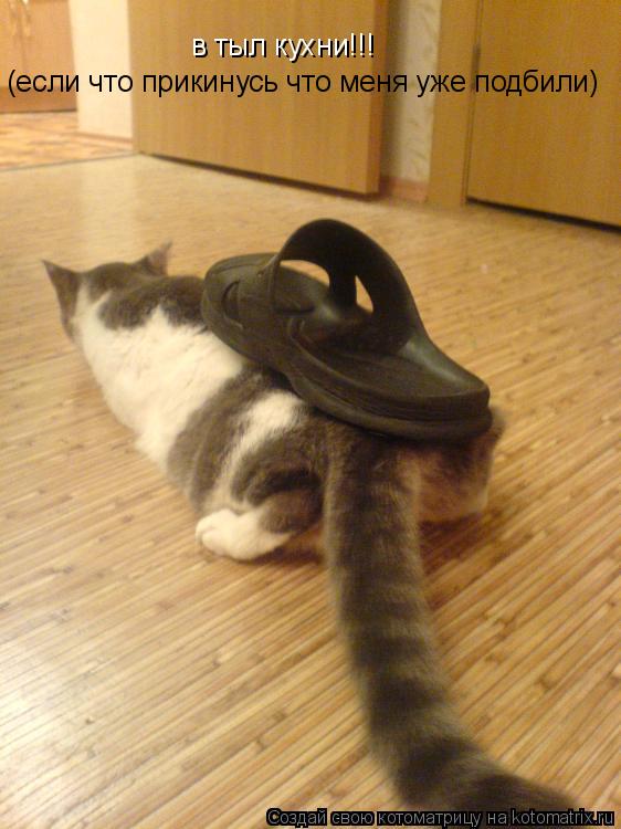 (если что прикинусь что меня уже подбили) в тыл кухни!!!... Котоматрица: (если что прикинусь что меня уже подбили) в тыл кухни!!!