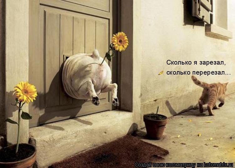Сколько я зарезал, сколько перерезал...... Котоматрица: Сколько я зарезал, сколько перерезал...
